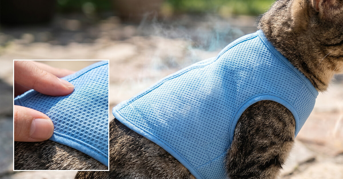 Absorbs Body Heat for Immediate Refreshment