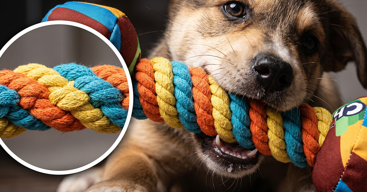 ChompKnot withstands aggressive chewing without unraveling