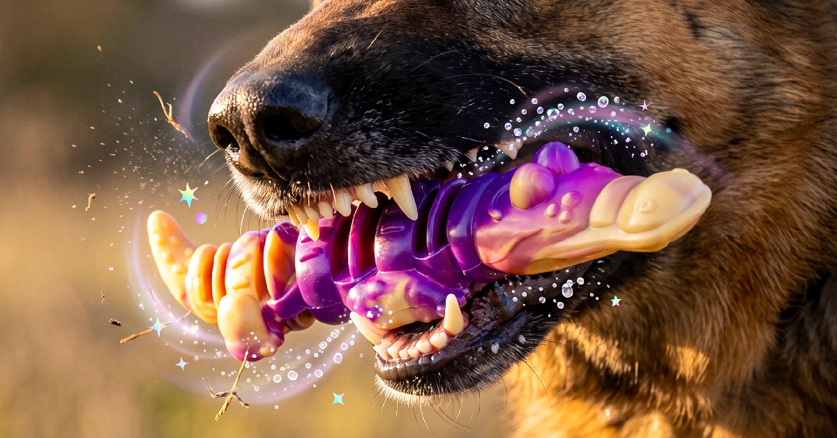 Durable Nylon Resists Even The Toughest Chewers