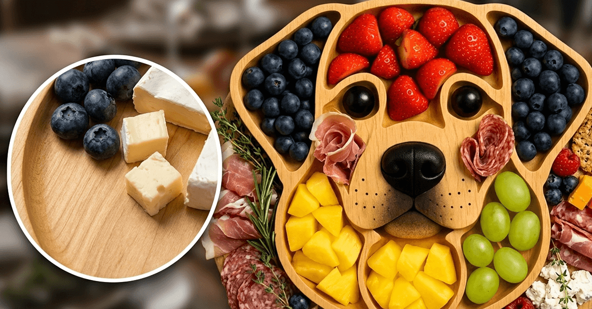 Food-Safe Coatings Keep Every Serving Worry-Free